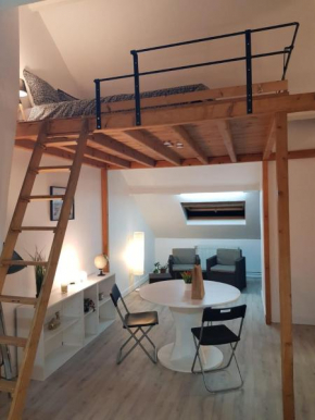 Le Chaudron d'Or - Appartement Confort - Hyper-Centre